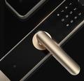 Умный дверной замок LifeSmart LS099
