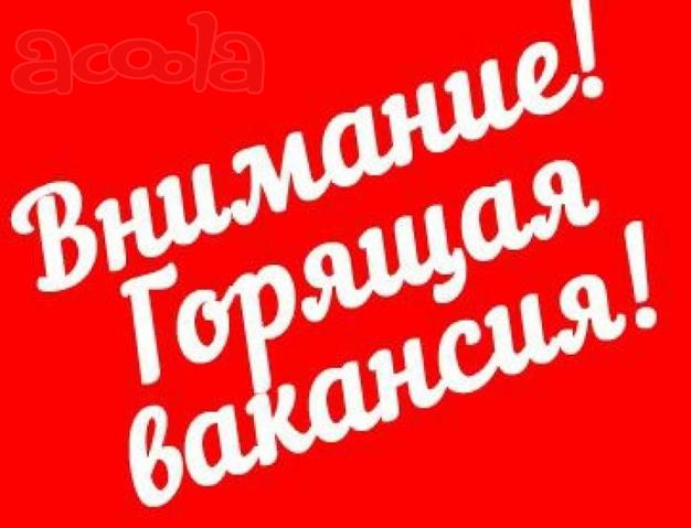 Подработка на дому оператором ПК вечером